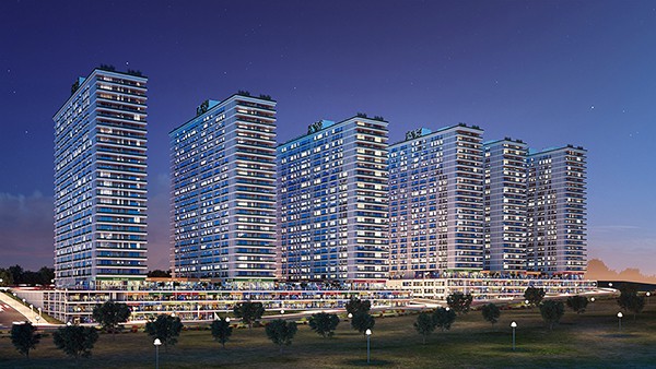 Project image 11