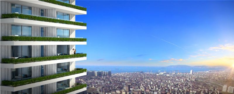 Project image 10