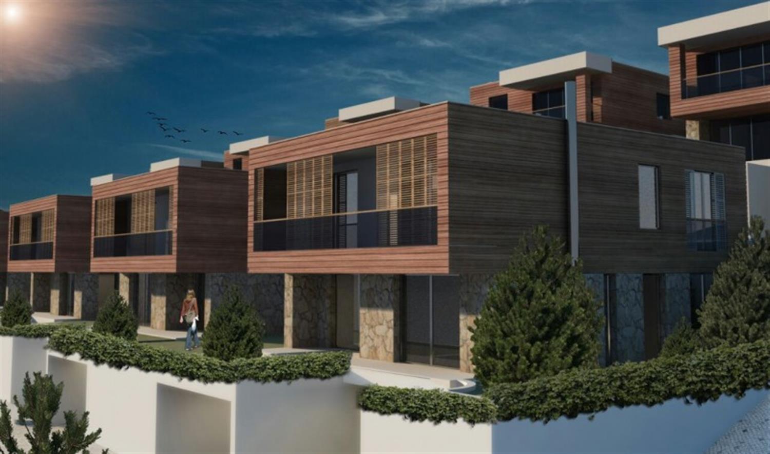 Project image 9