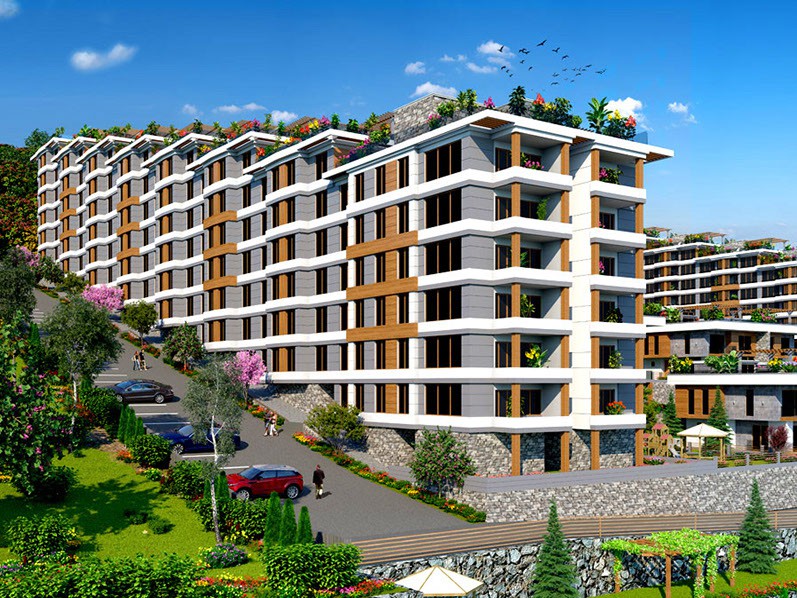 Project image 10