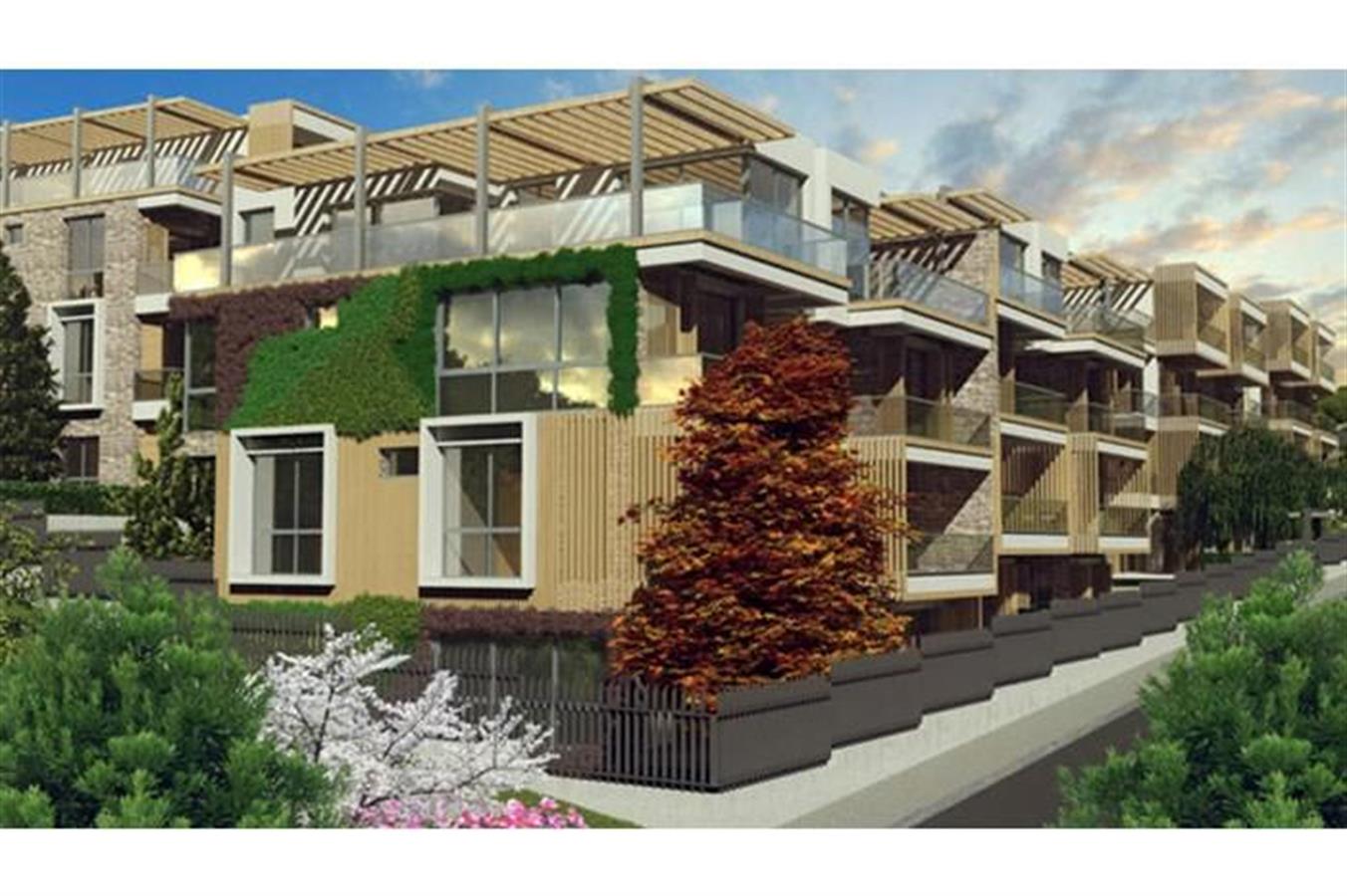 Project image 9