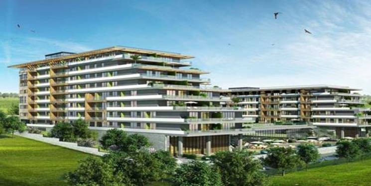 Project image 10
