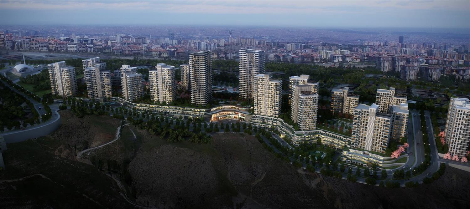 Project image 13