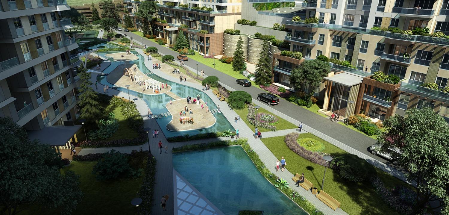 Project image 15