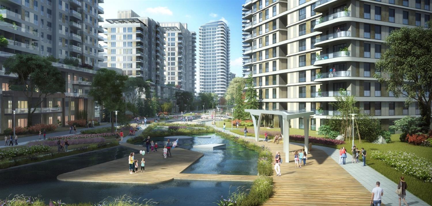 Project image 16