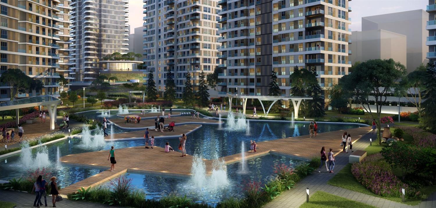 Project image 17