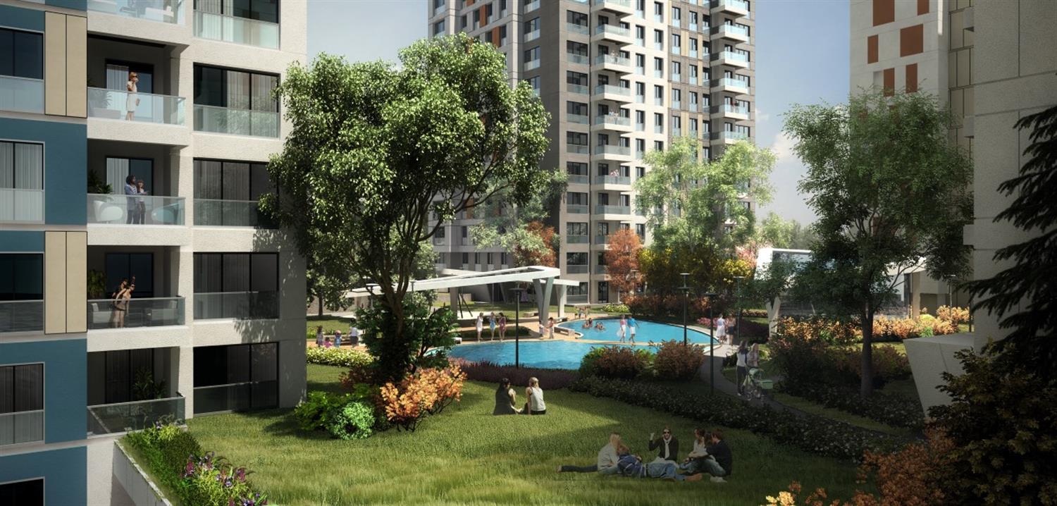Project image 19