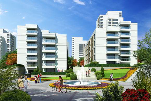 Project image 12