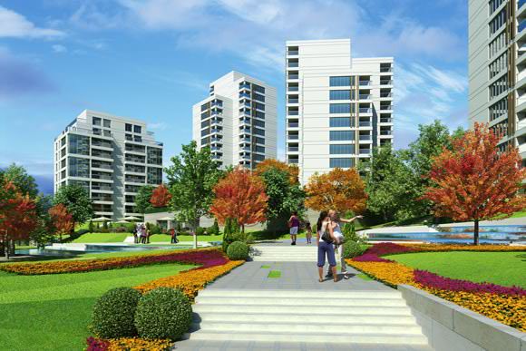 Project image 11