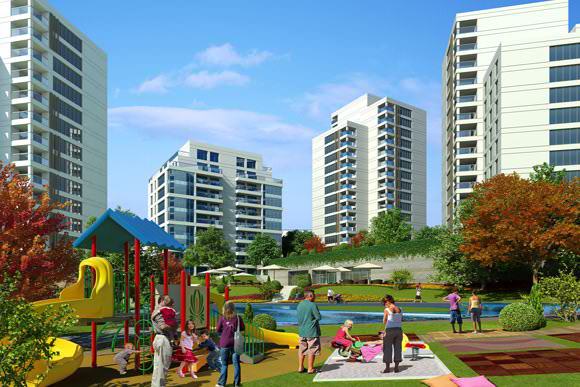 Project image 9