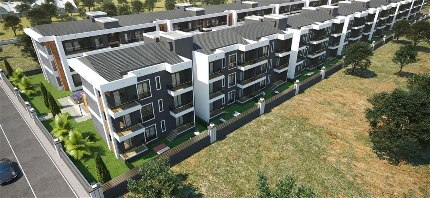 Project image 11