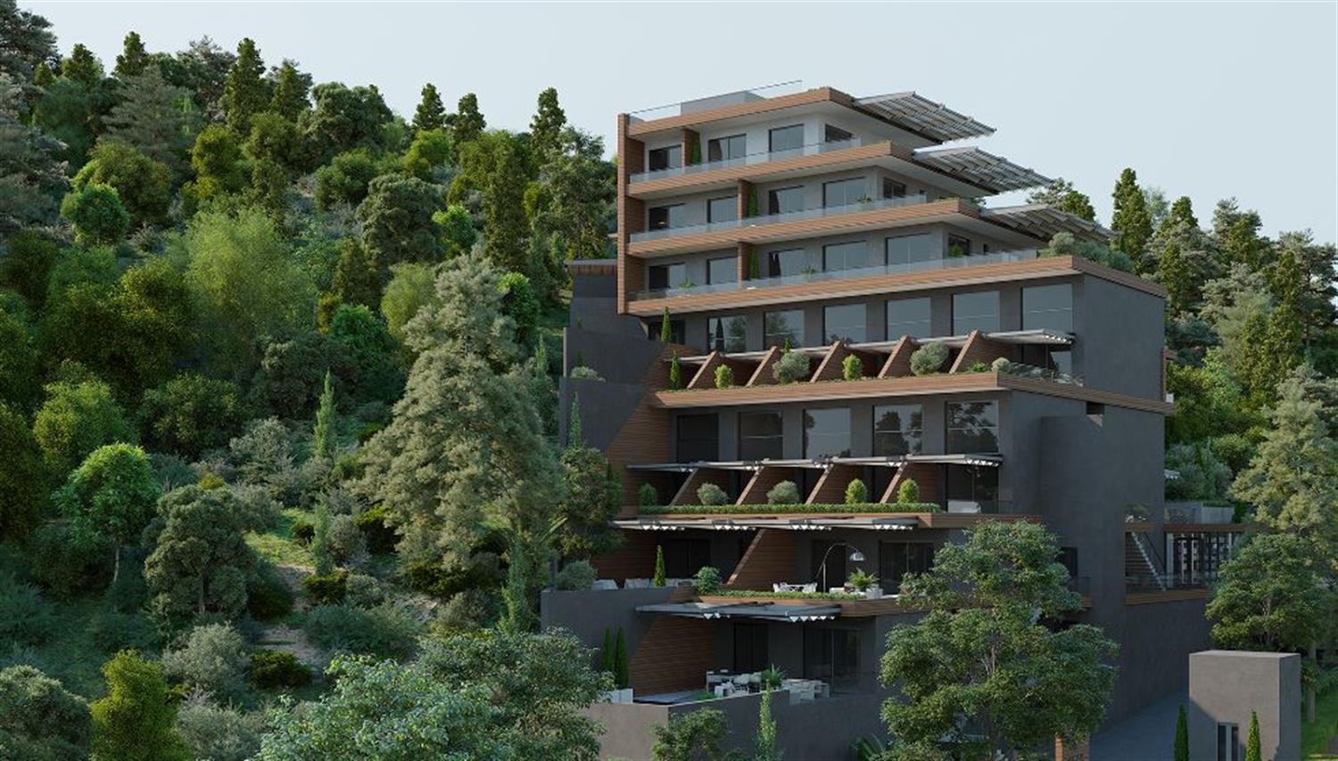 Project image 11
