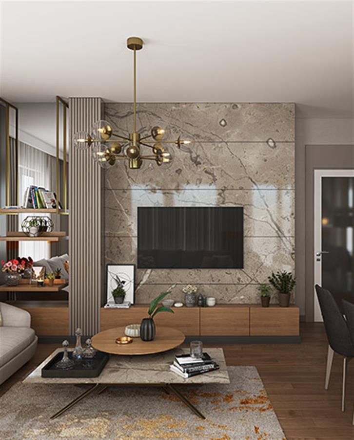 Project image 11