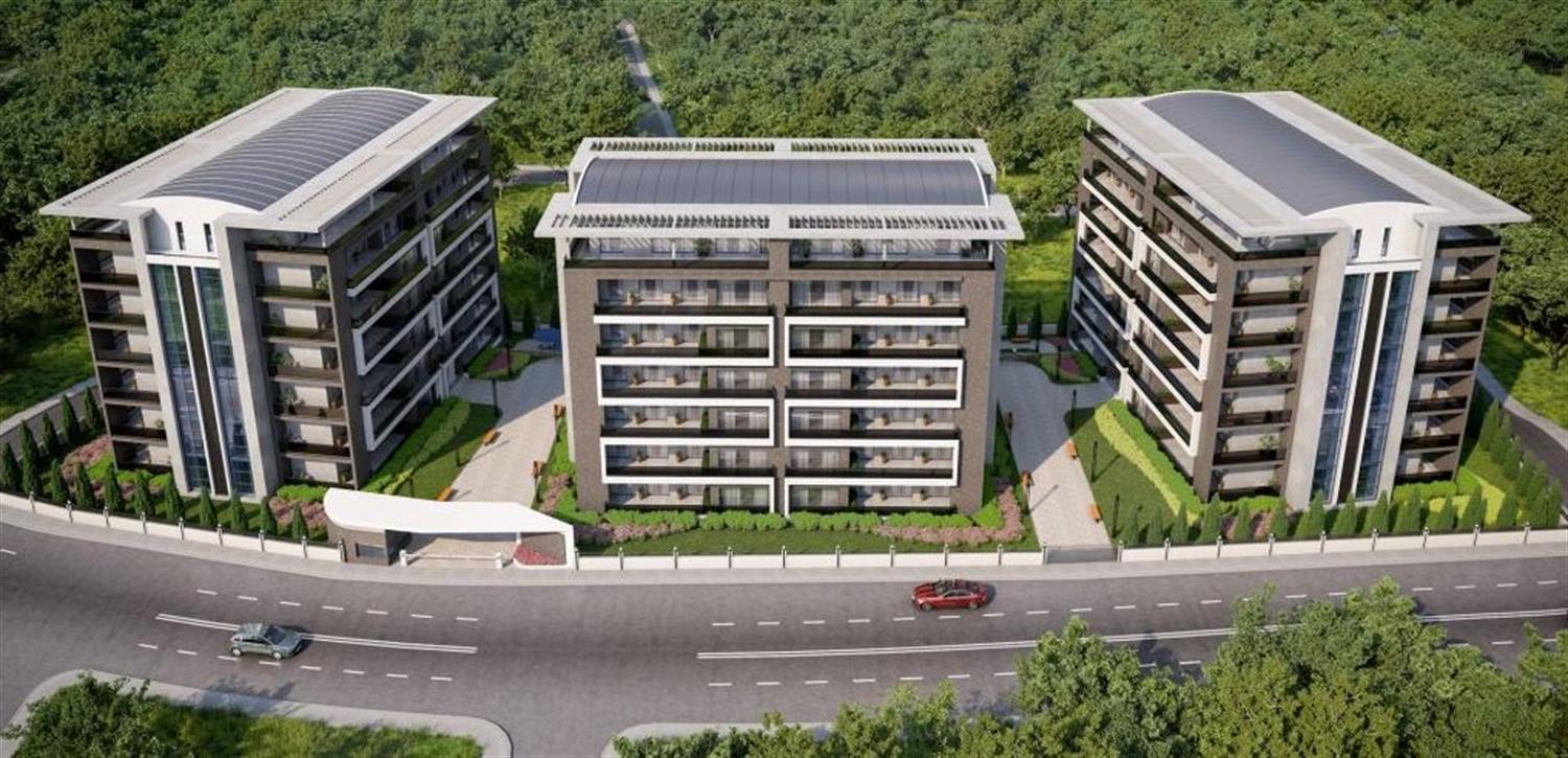 Project image 15