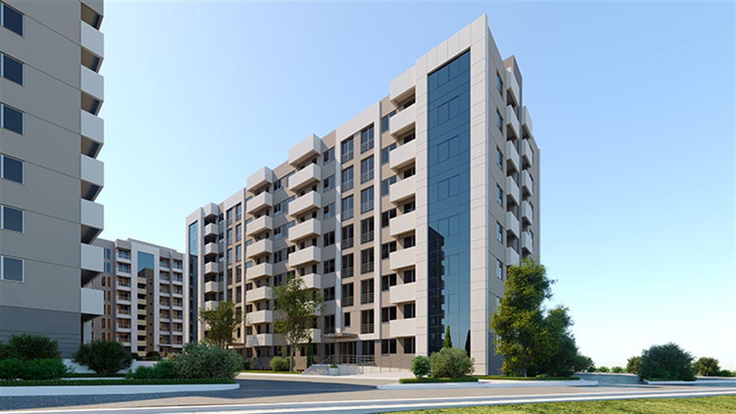 Project image 15