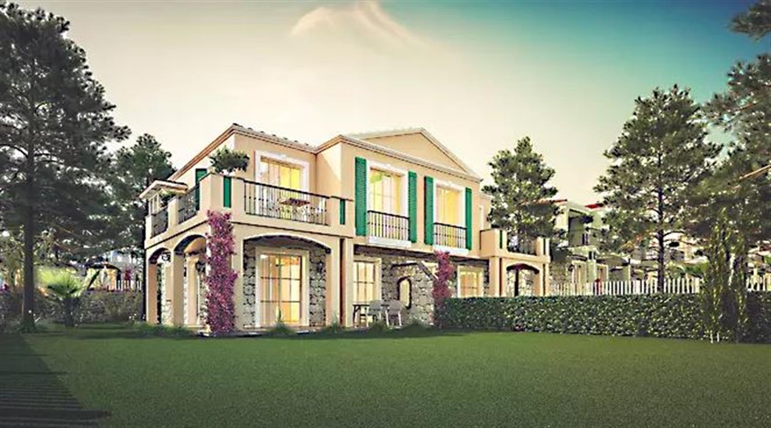 Project image 15