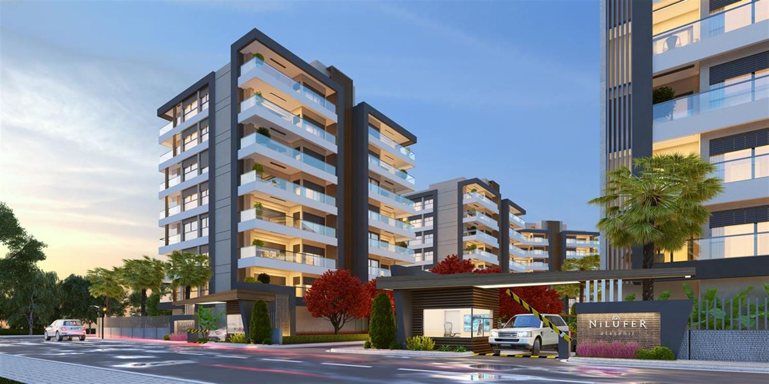 Project image 15