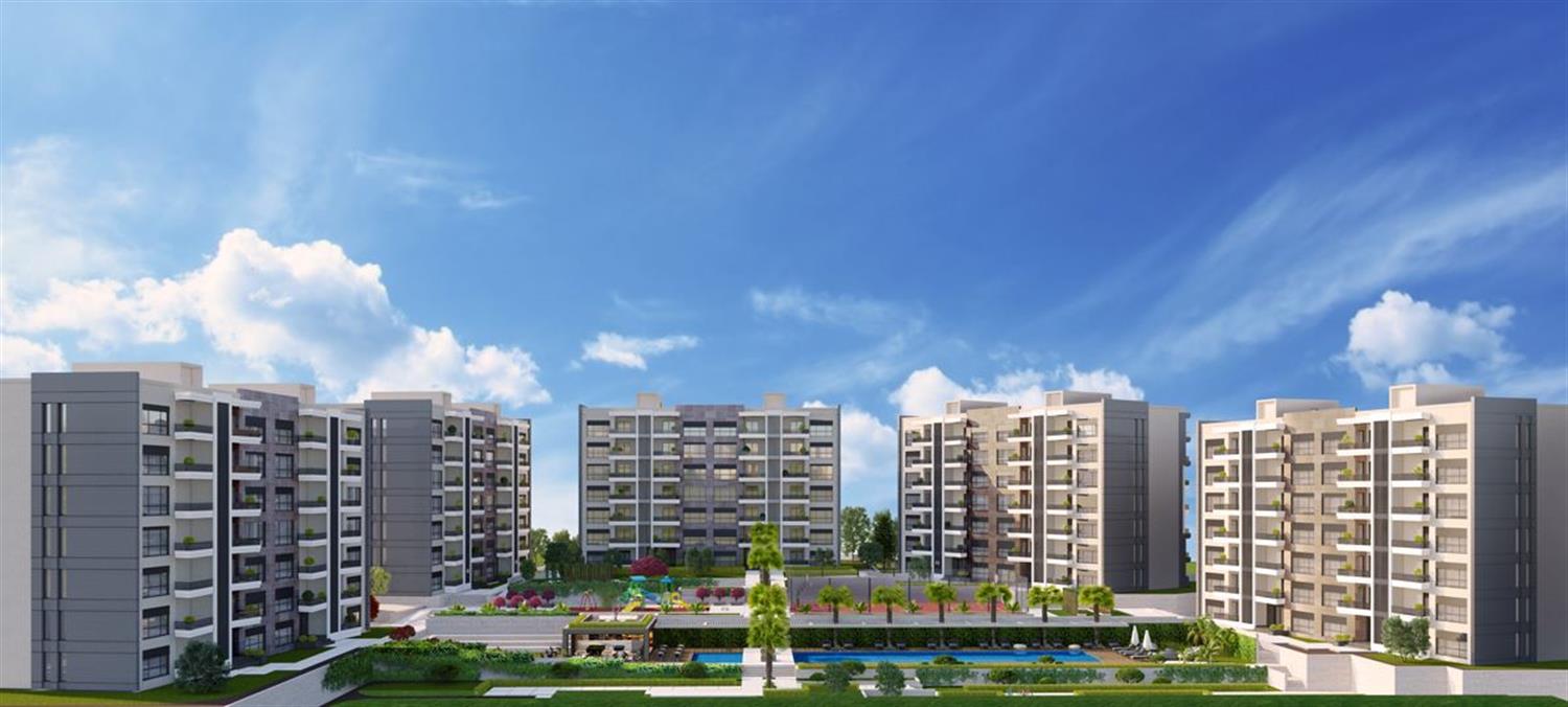 Project image 11
