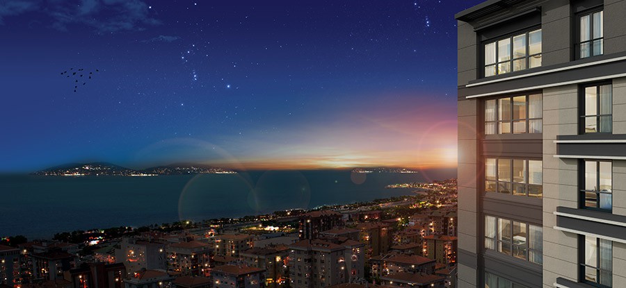 Project image 12