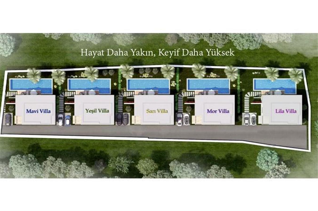 Project image 11