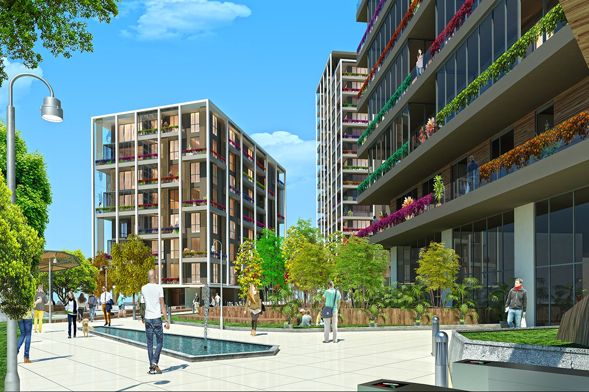 Project image 15