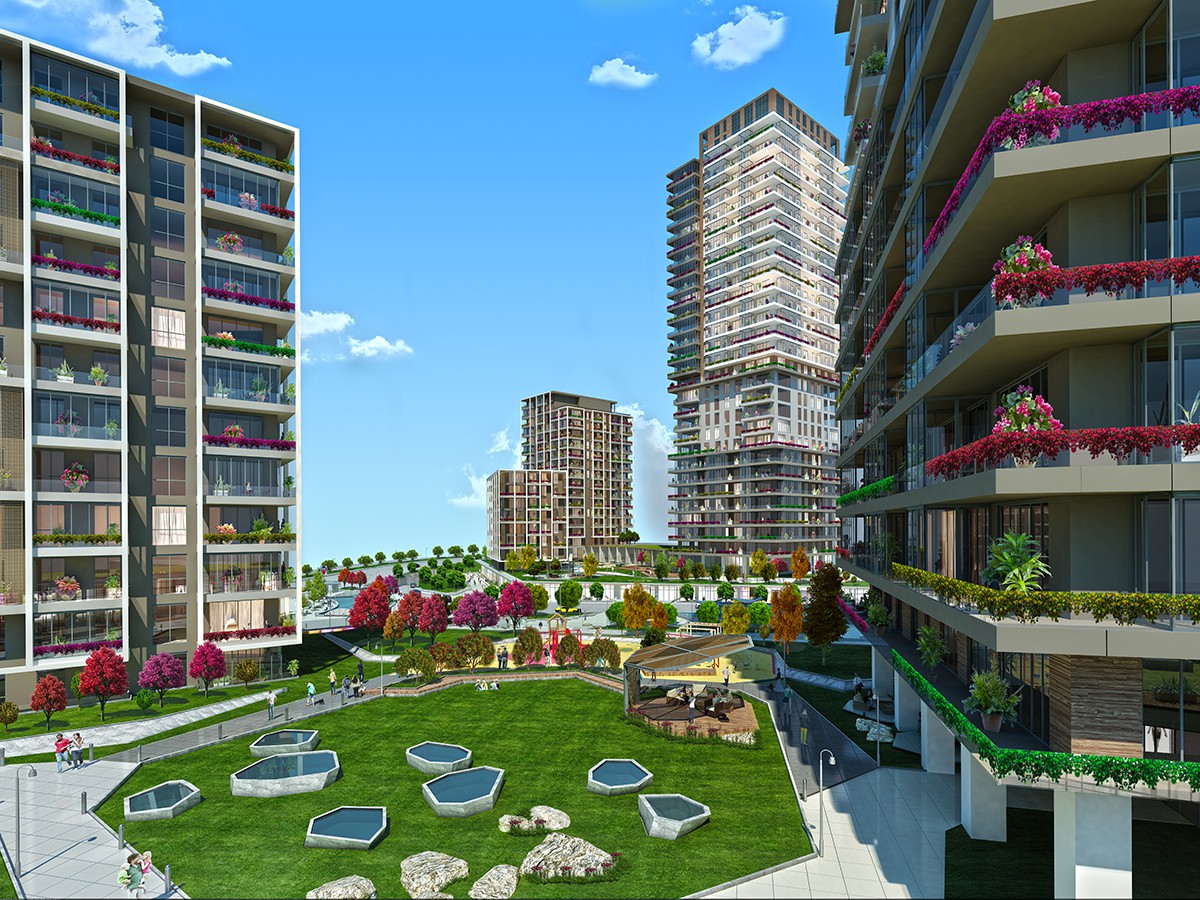 Project image 11