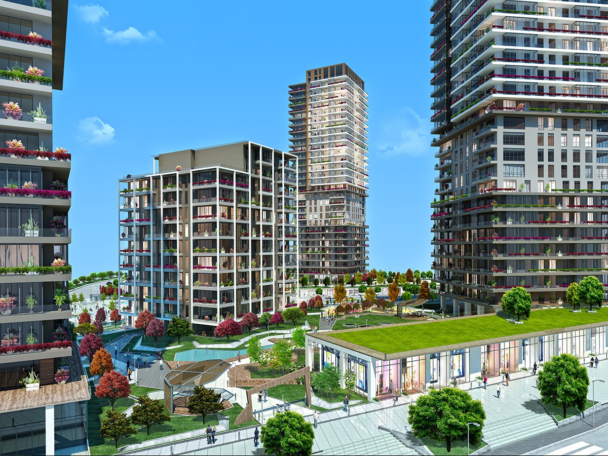 Project image 10