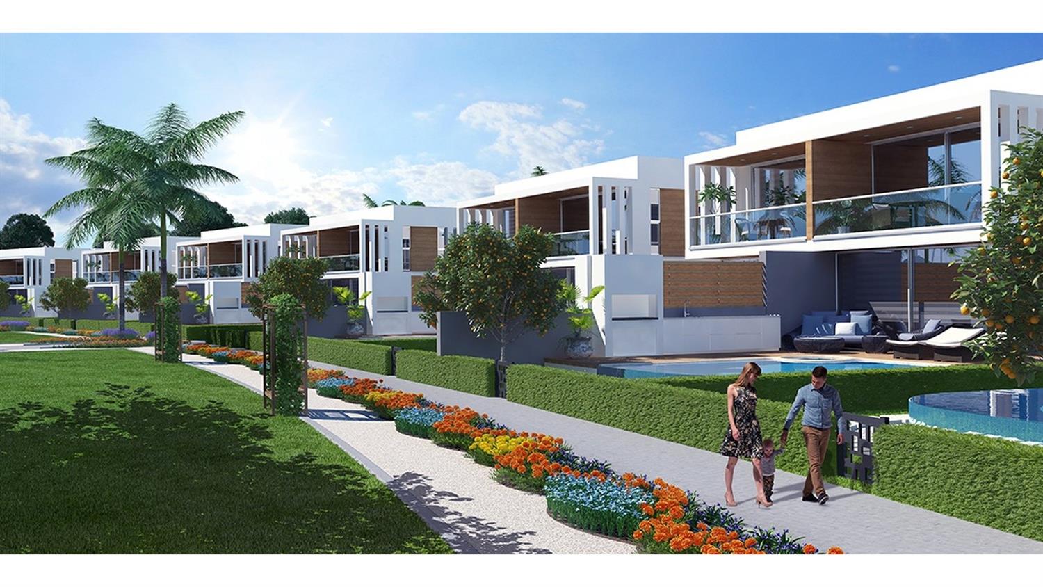 Project image 19