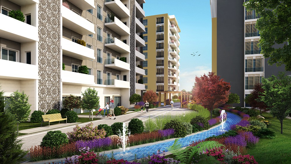 Project image 11