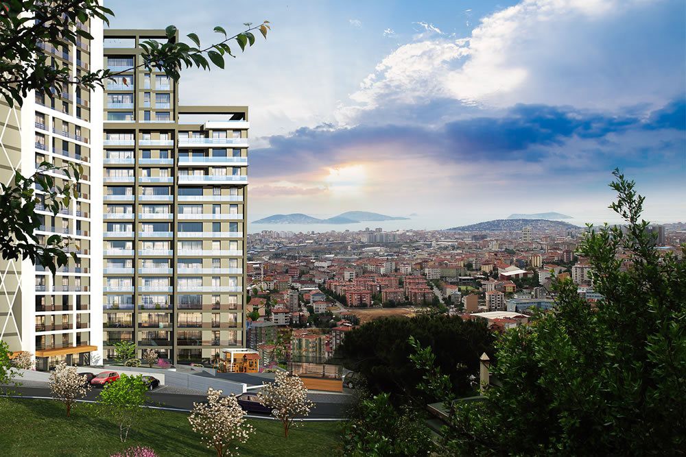 Project image 12
