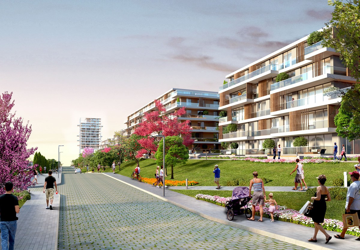 Project image 10