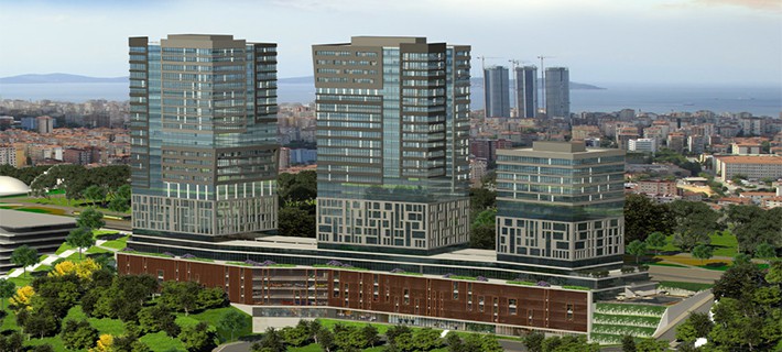 Project image 15