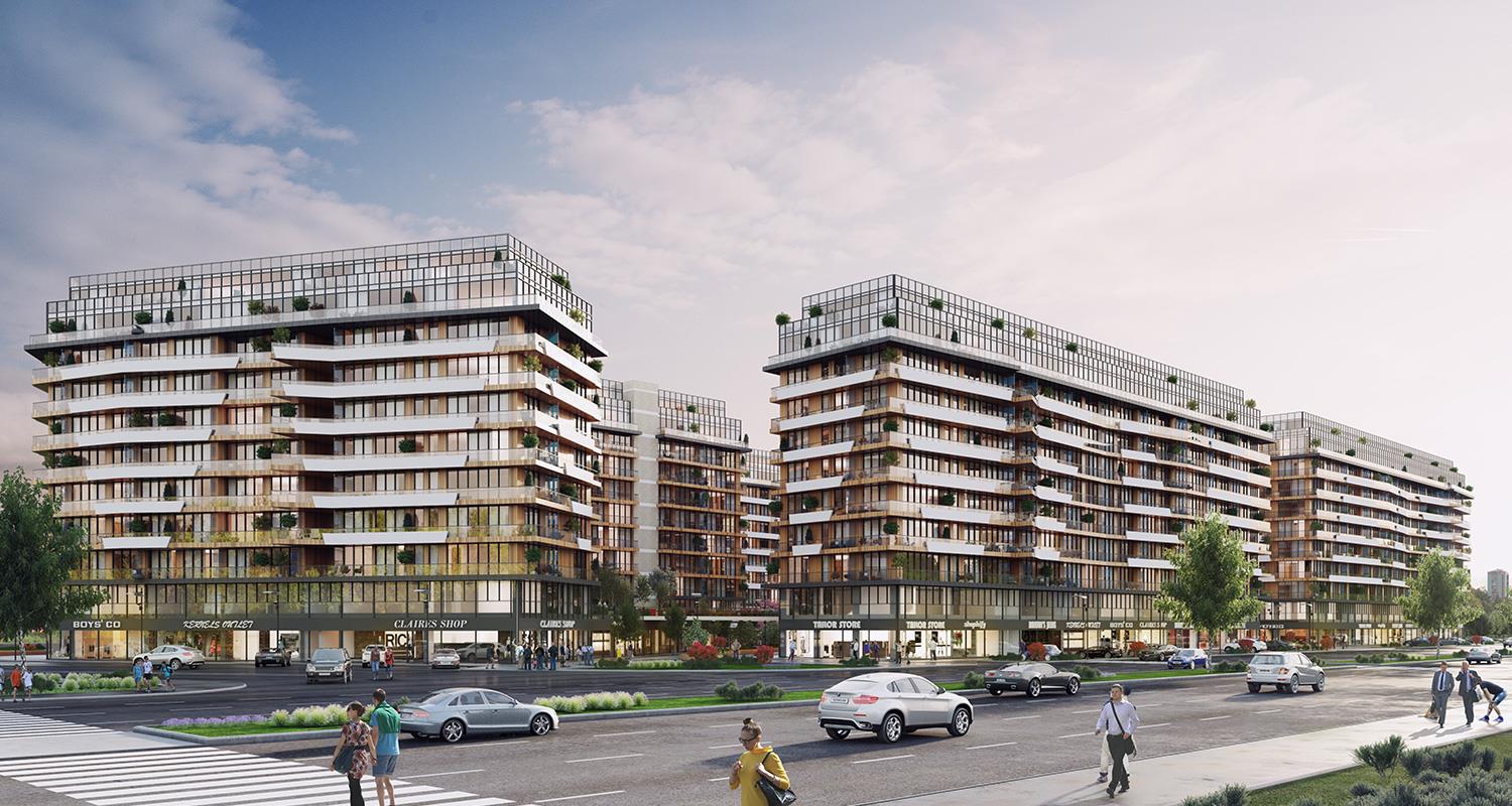 Project image 11