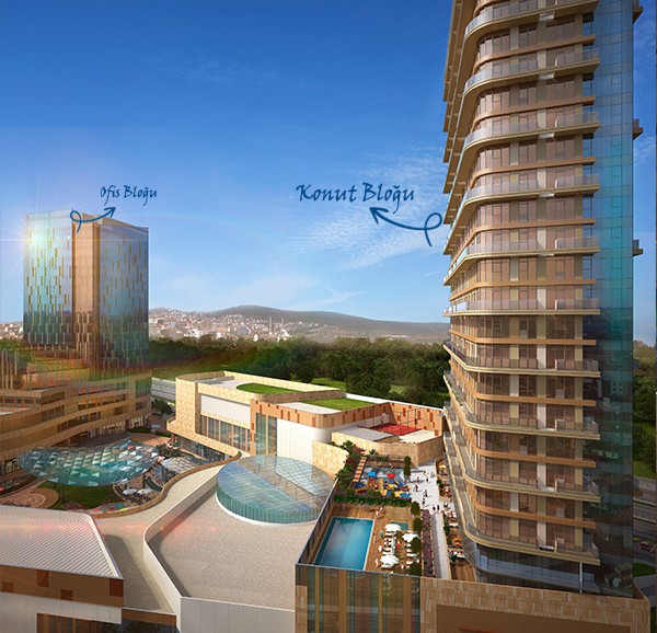 Project image 10