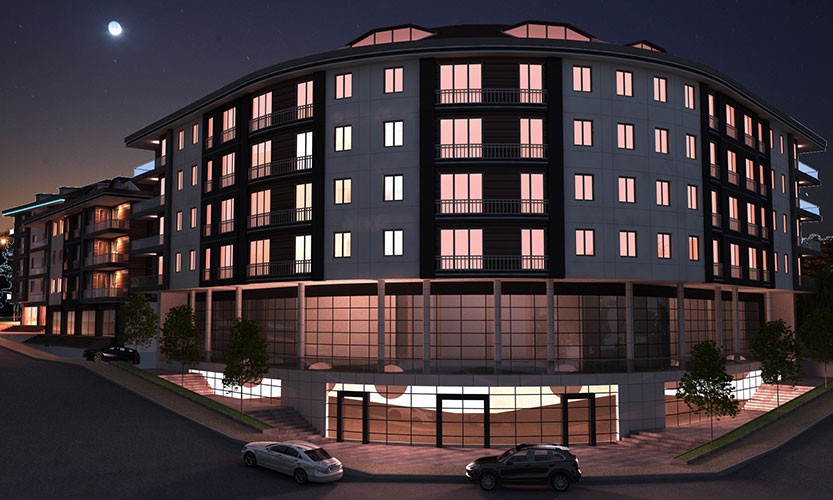 Project image 13