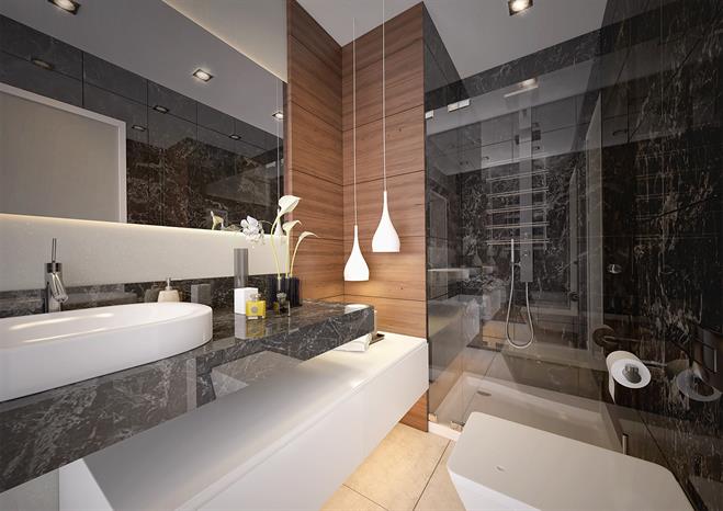 Project image 11