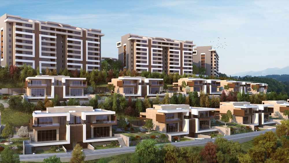 Project image 13
