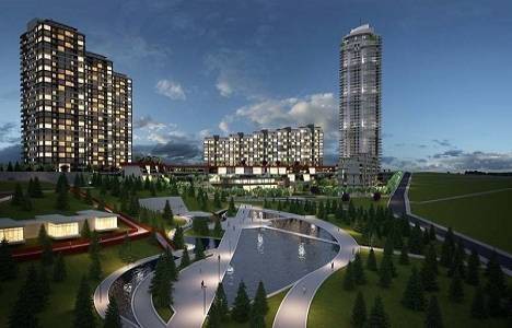 Project image 10