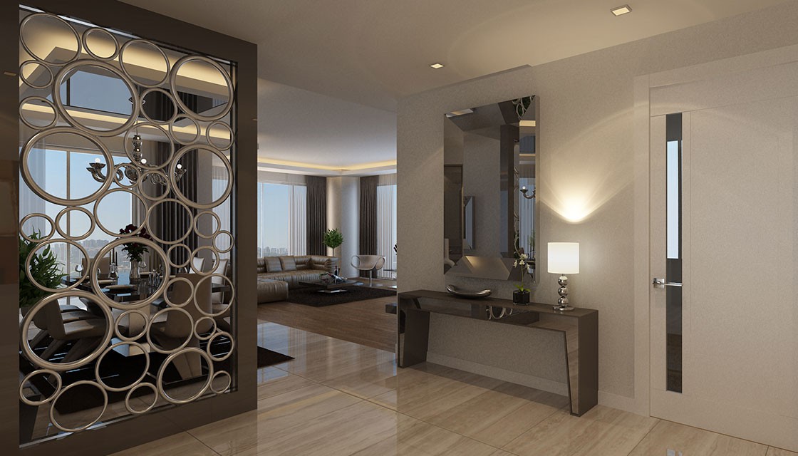 Project image 11