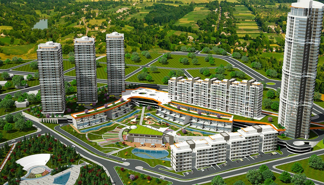 Project image 19