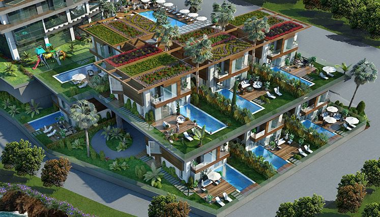 Project image 11