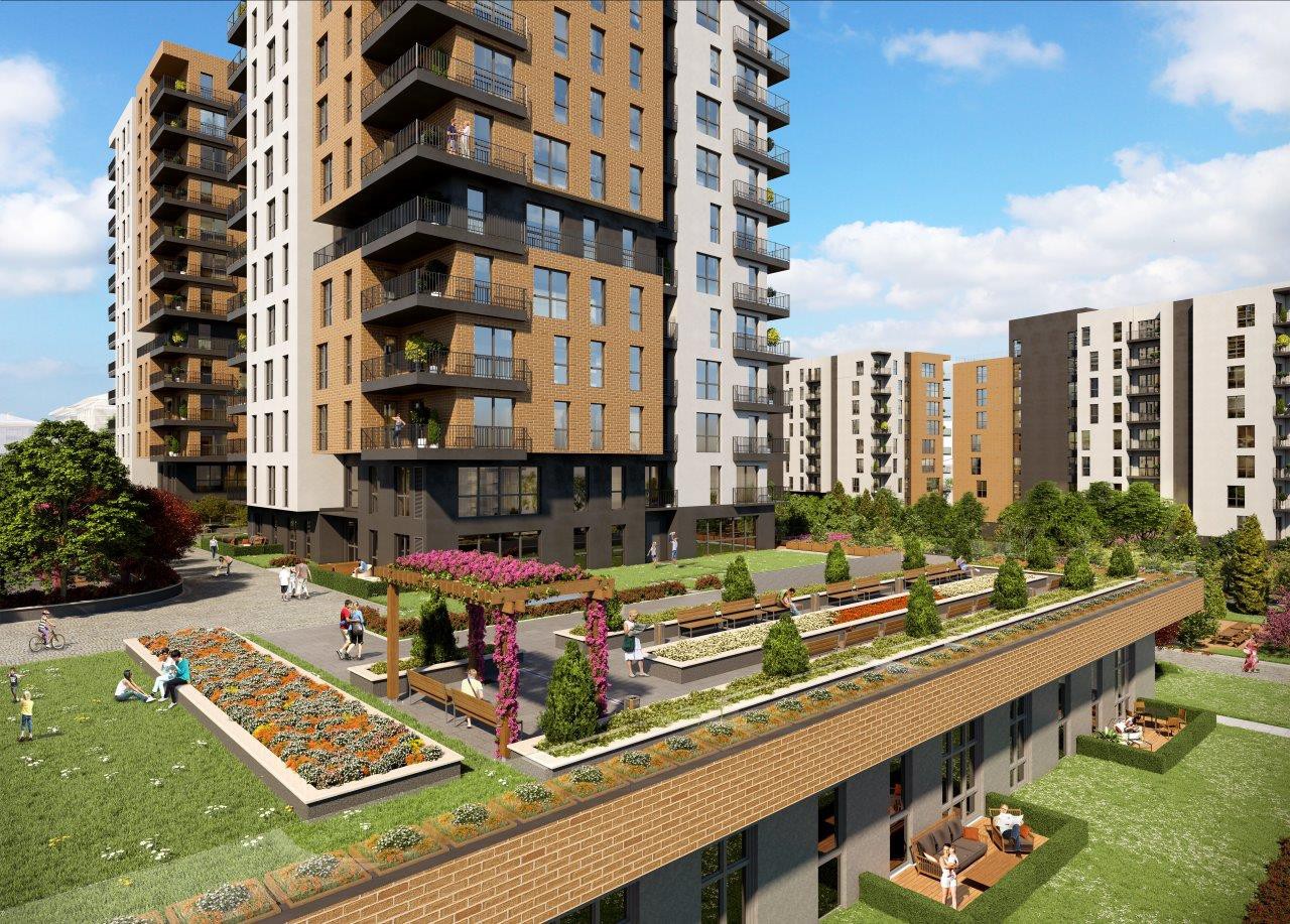 Project image 16