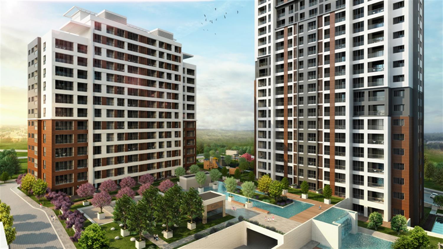 Project image 15
