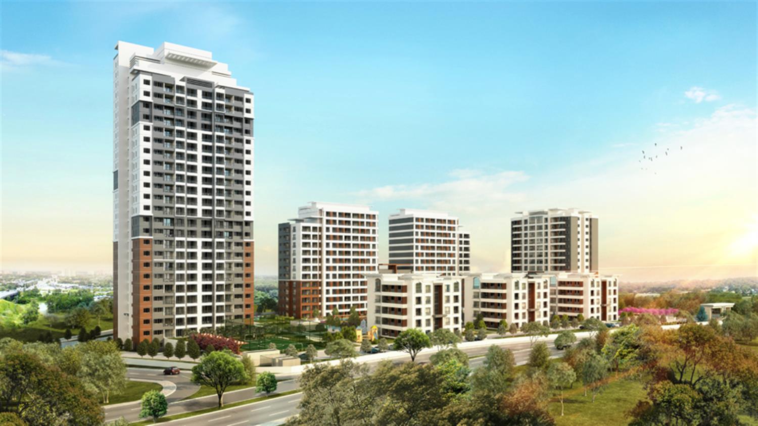 Project image 19