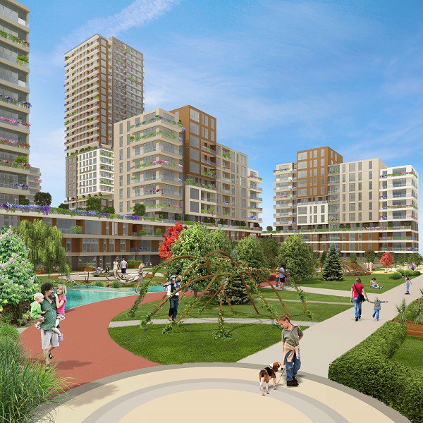 Project image 15