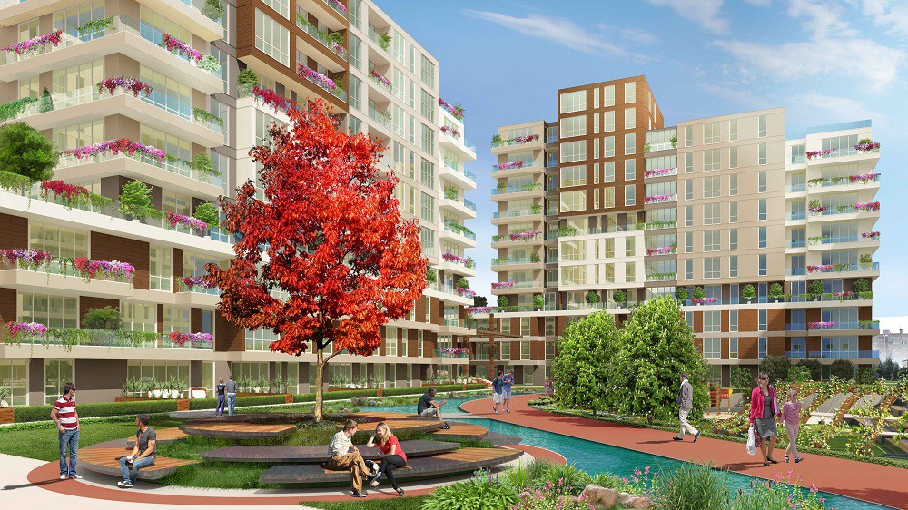 Project image 13