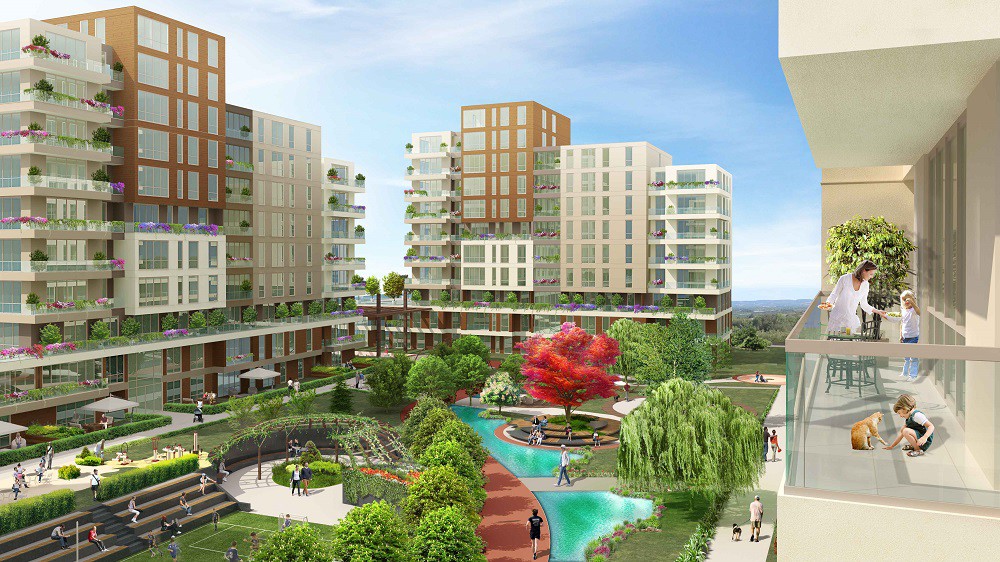 Project image 12