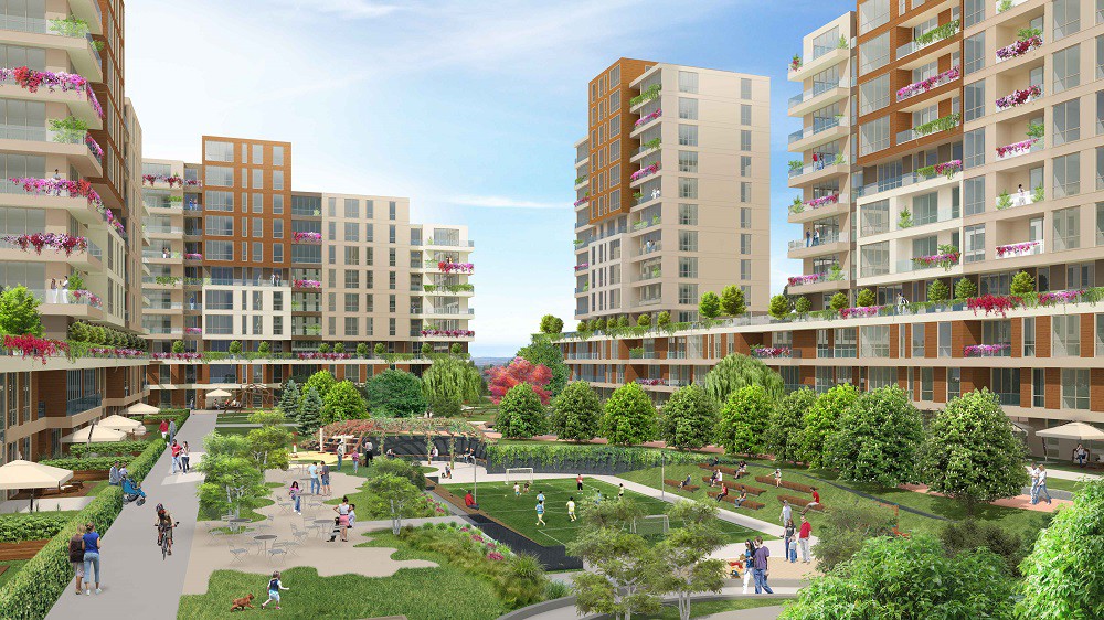 Project image 9