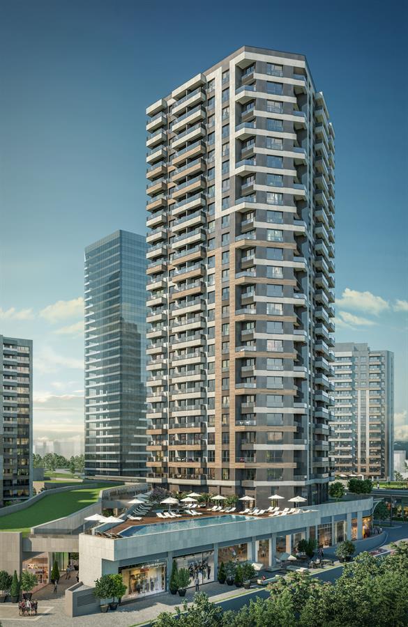 Project image 9