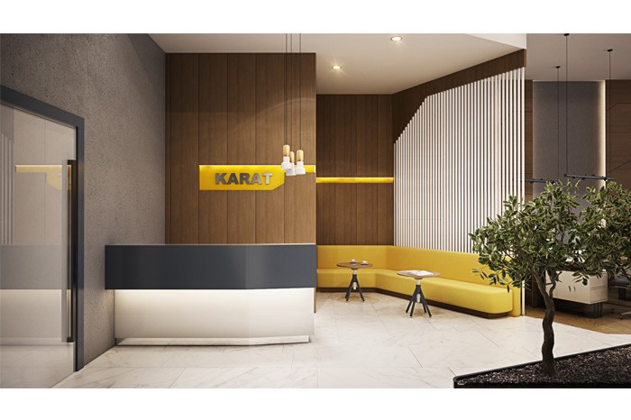 Project image 10